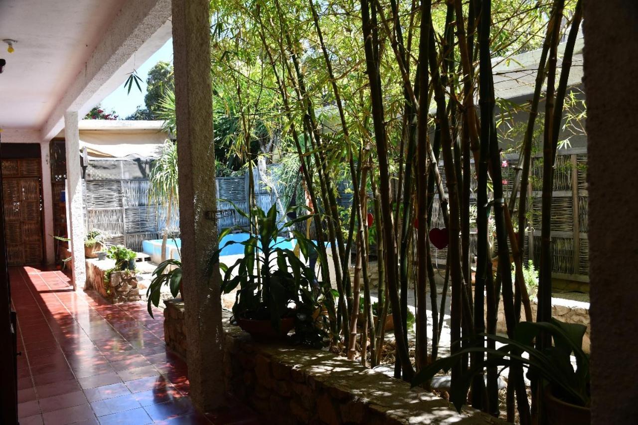 La Playita Hostal San José del Cabo 외부 사진