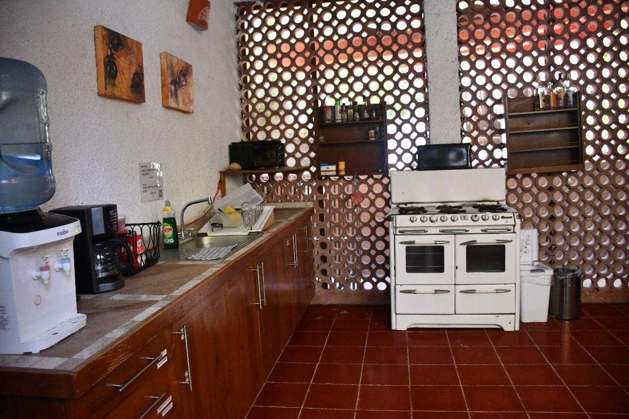 La Playita Hostal San José del Cabo 외부 사진