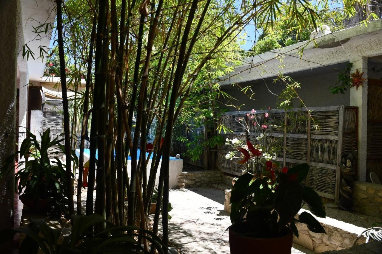 La Playita Hostal San José del Cabo 외부 사진