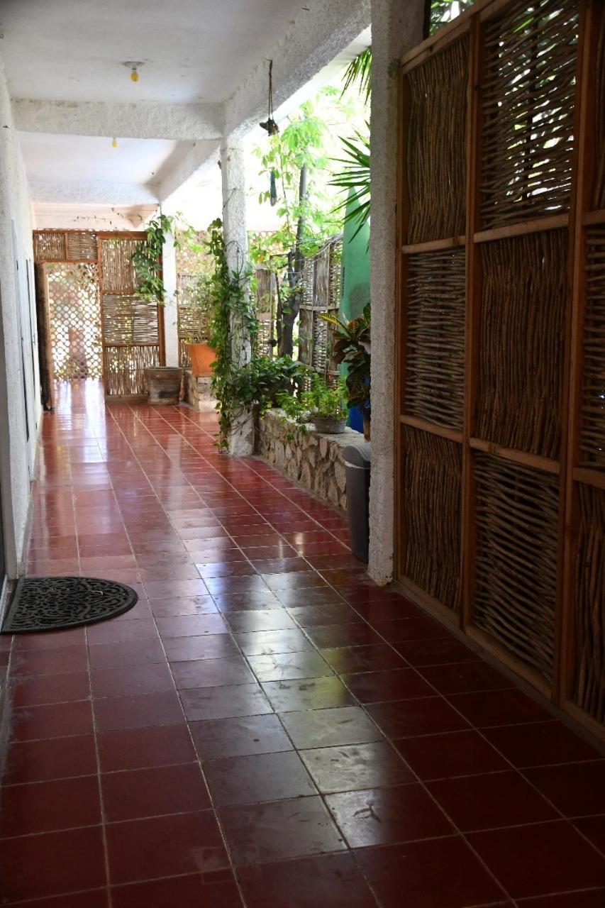 La Playita Hostal San José del Cabo 외부 사진